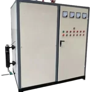 Electric Steamer
